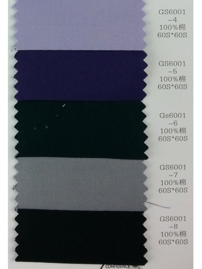 DG-LIFG GS6001 側面照